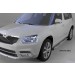 Can Otomotiv SAYE.78.3961 пороги алюминиевые (Emerald silver ) Skoda Yeti (2009-)
