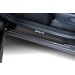 Руссталь DTMID14-06 накладки на пороги (нерж., карбон, надпись) на Datsun mi-DO 2014-