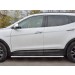 Руссталь HSFPO-002446 пороги труба 120х60 овал с проступью на Hyundai Santa Fe Premium 2015