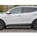 Руссталь HSFPT-0024451 пороги труба d63 секции (вариант 1) на Hyundai Santa Fe Premium 2015