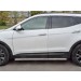 Руссталь HSFPT-0024452 пороги труба d63 секции (вариант 2) на Hyundai Santa Fe Premium 2015