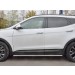 Руссталь HSFPT-002449 пороги труба d42 секции (вариант 1) на Hyundai Santa Fe Premium 2015