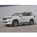 Руссталь LCPZ-003295 защита переднего бампера d63 секции на Toyota Land Cruiser Prado 150 Style 2019-