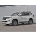 Руссталь LCPZ-003296 защита переднего бампера d63 секции-d42 дуга на Toyota Land Cruiser Prado 150 Style 2019-