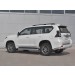 Руссталь LCPZ-003303 защита заднего бампера d63 секции d42x2 уголки на Toyota Land Cruiser Prado 150 Style 2019-