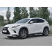 Руссталь LNX3Z-002934 защита переднего бампера d42 секции на Lexus NX300 2017-
