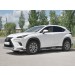 Руссталь LNX3Z-002939 защита переднего бампера d63 секции-d75х42 дуга на Lexus NX300 2017-