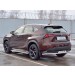 Руссталь LNXZ-002585 защита заднего бампера d63 секции с надписью на Lexus NX 200 2014 (кроме F-Sport) 