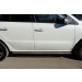 Руссталь RKO-000587 пороги труба d 75х42 овал с проступью на Renault Koleos 2012-
